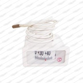 WTY-100B Thermometer