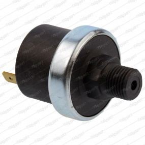 Mater XP602C Boiler Pressure Switch G1/4